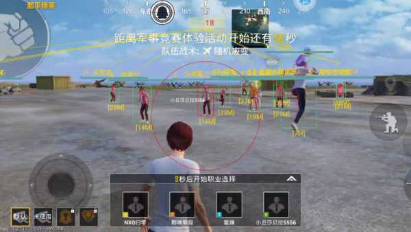 突破游戏界限:探索和平精英辅助工具的神秘世